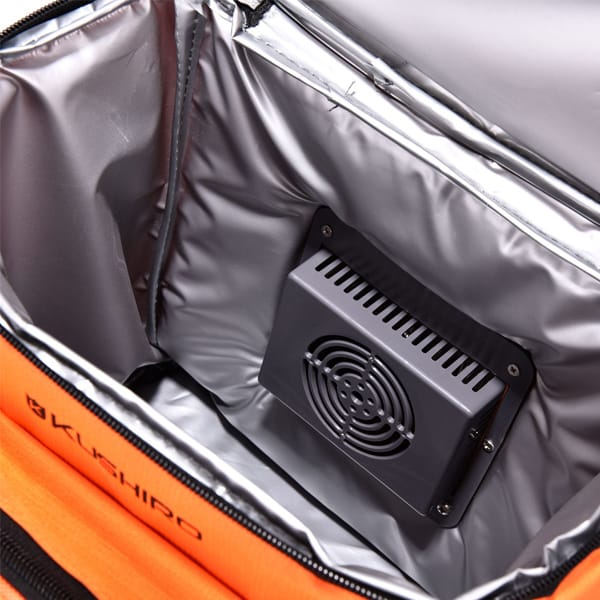Bolso Enfriador Elect.12Lts 12v - Imagen 2