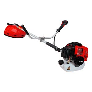 Alternative view of DESMALEZADORA MIYAWA  52CC
